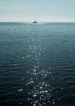 海洋