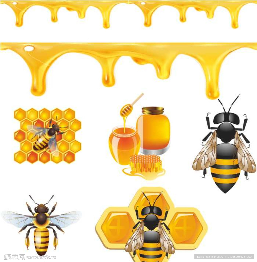 蜂蜜与蜜蜂设计矢量素
