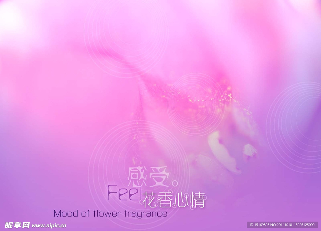 花纹底纹