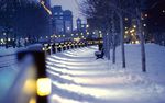 winter 冬天