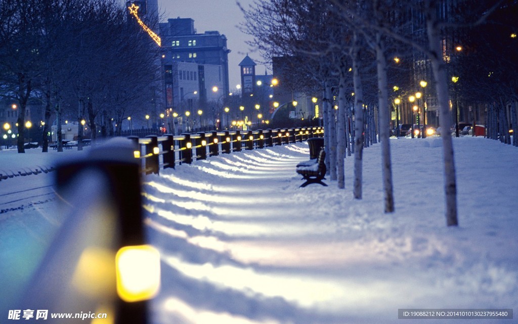 winter 冬天