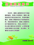 校园文化感恩励志
