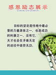校园文化感恩励志