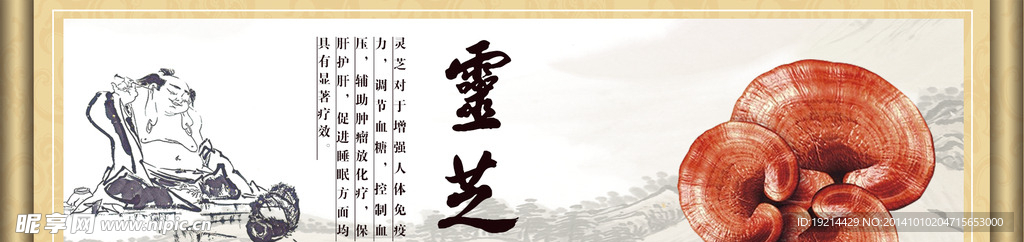 灵芝banner