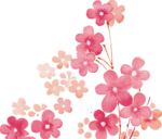 手绘樱花