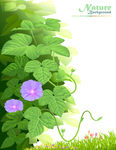 手绘花卉