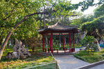 中国传媒大学