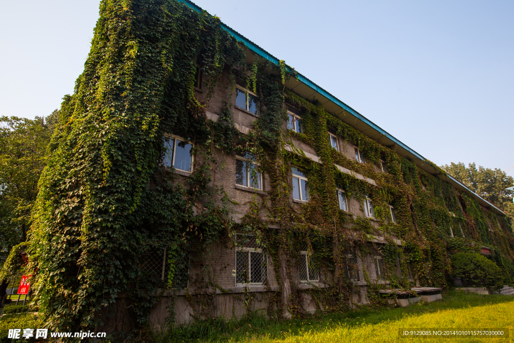 中国传媒大学