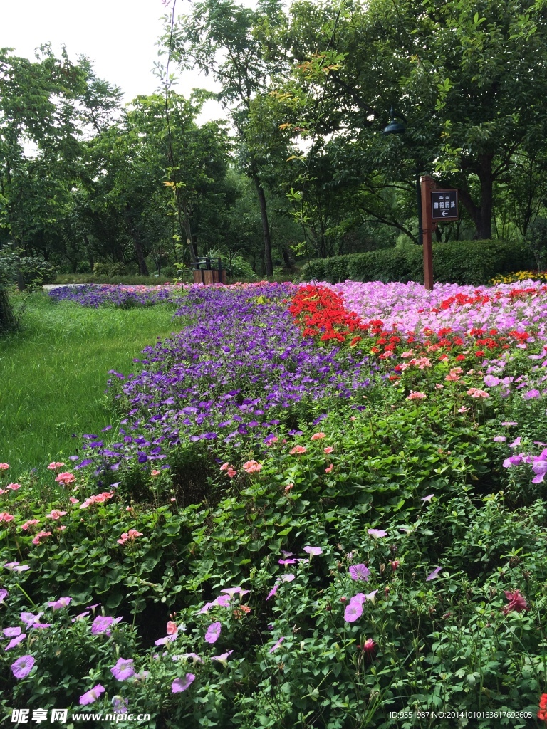 西溪湿地