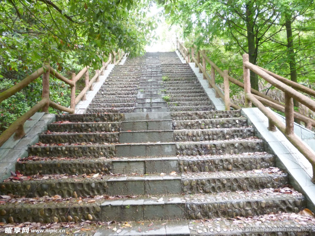 林园阶梯