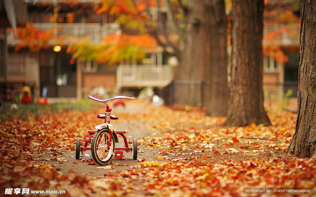 秋季落叶儿童车壁纸