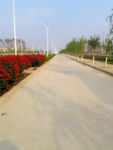 公路