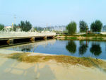 跨水桥
