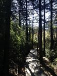 神农架风景