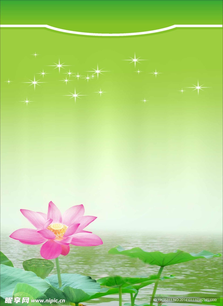 荷花