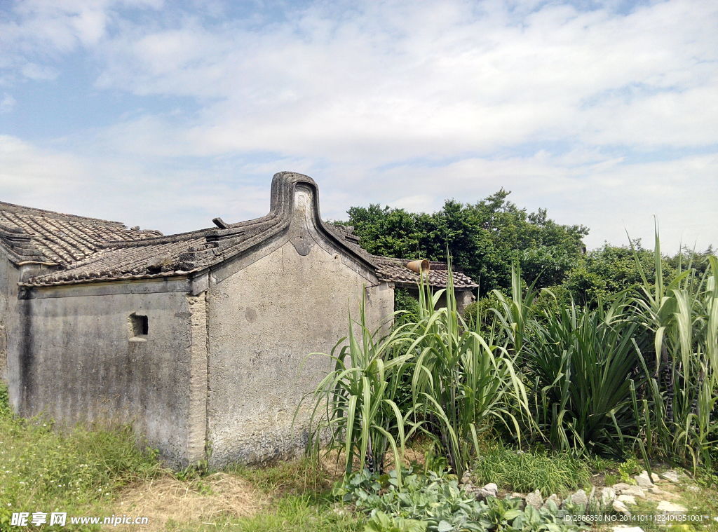 潮汕乡村风景