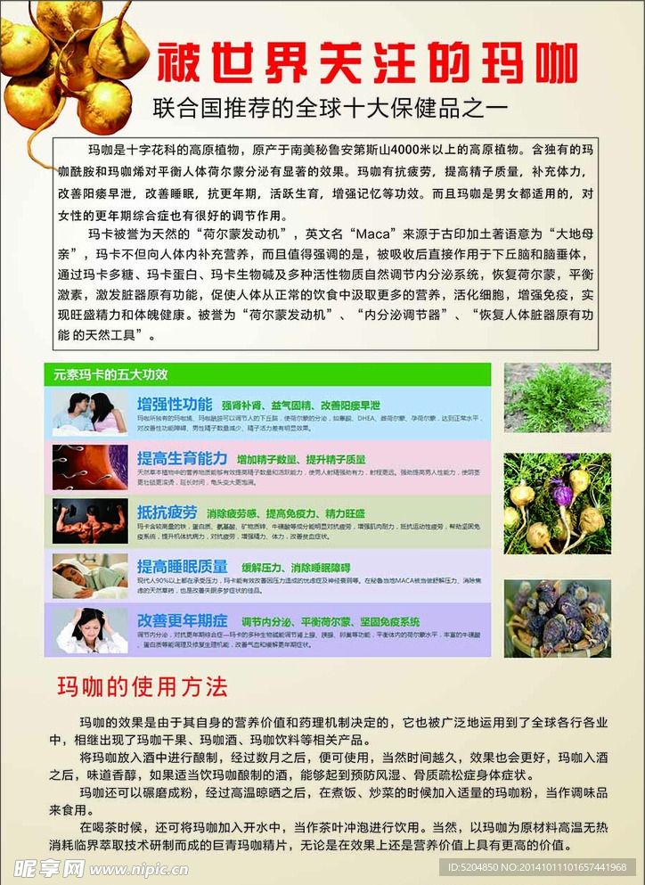 玛咖