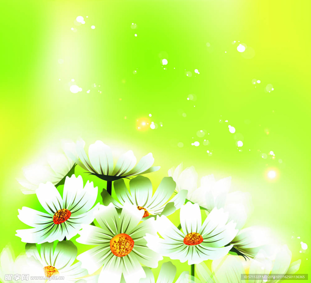 精美鲜花素材