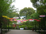 花伞