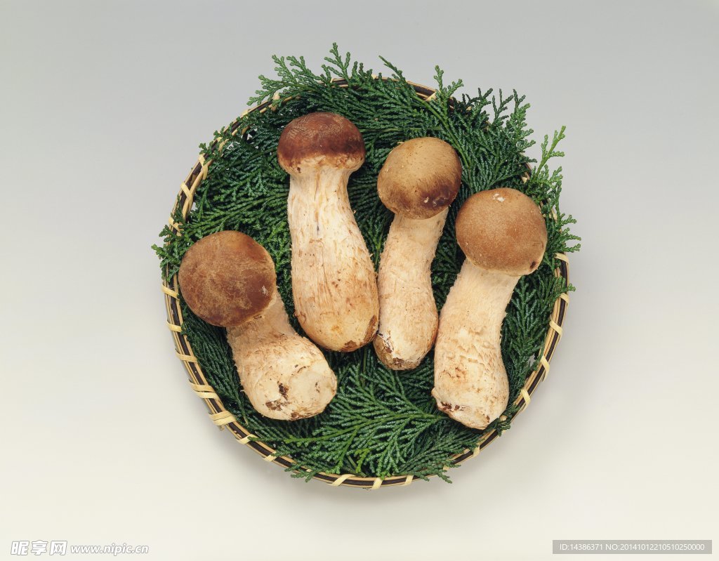 食物