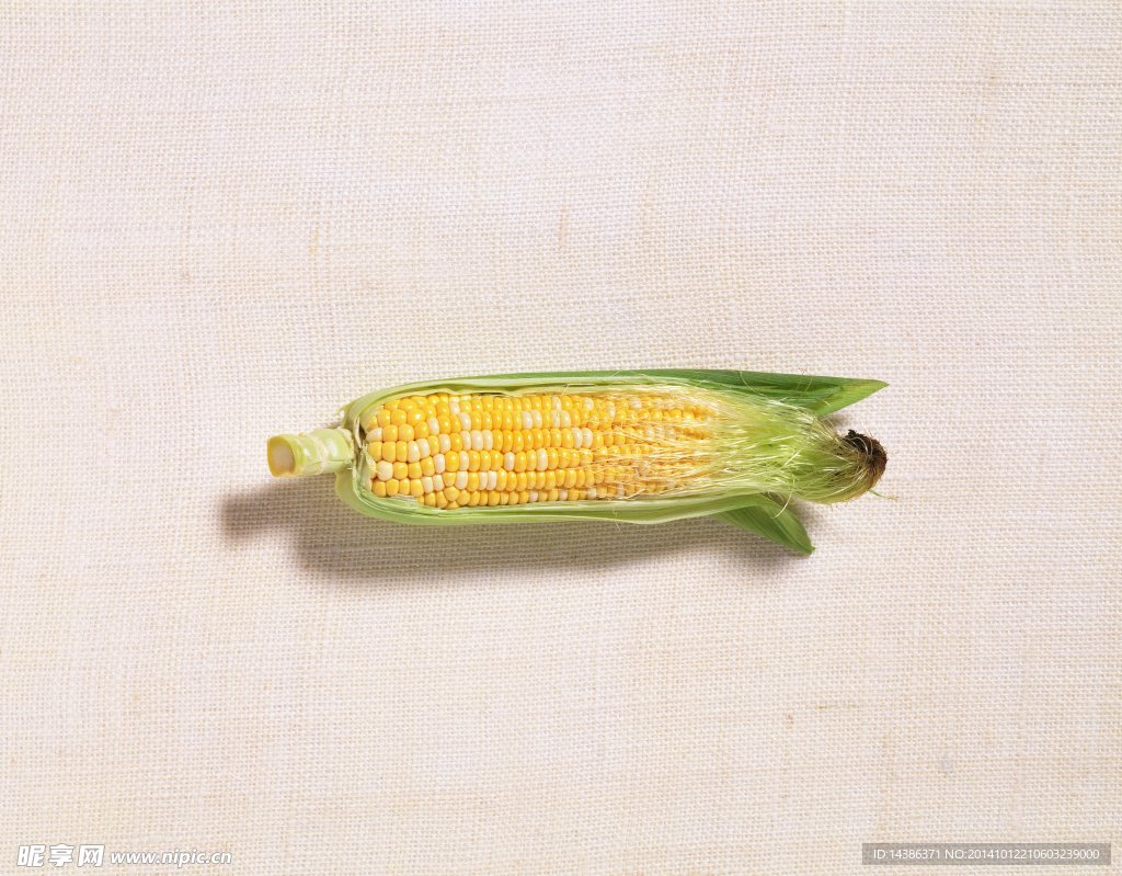 食物