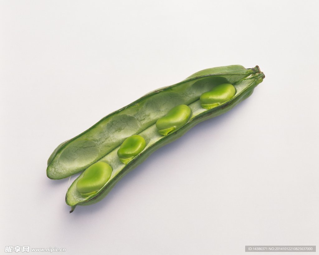 食物