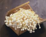 食物