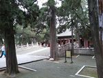 孔庙一景