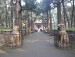 神道