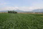 凉山田园风光