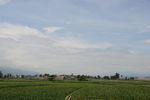 凉山田园风光