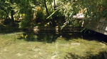 水池