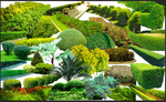 植物园、园林配景