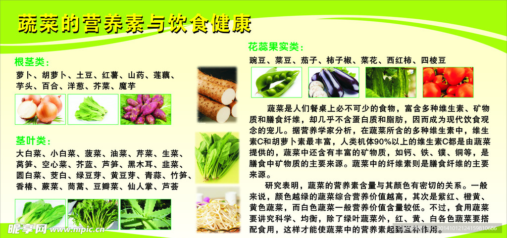 营养蔬菜