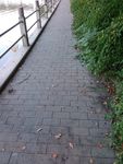 小路