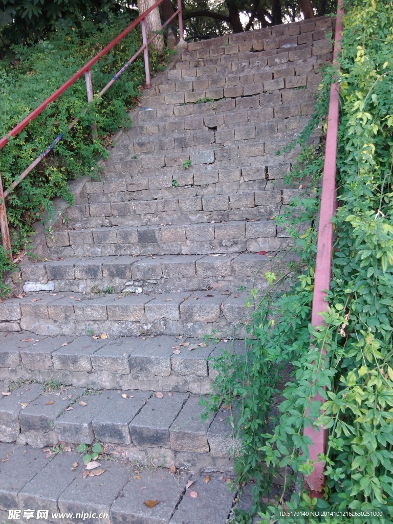 阶梯