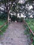 小路