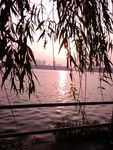 甘棠湖景色