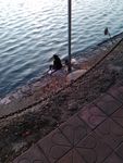 甘棠湖