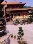 东林寺