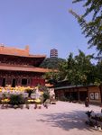 东林寺