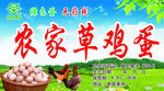 农家草鸡蛋