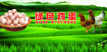 优选鸡蛋销售区