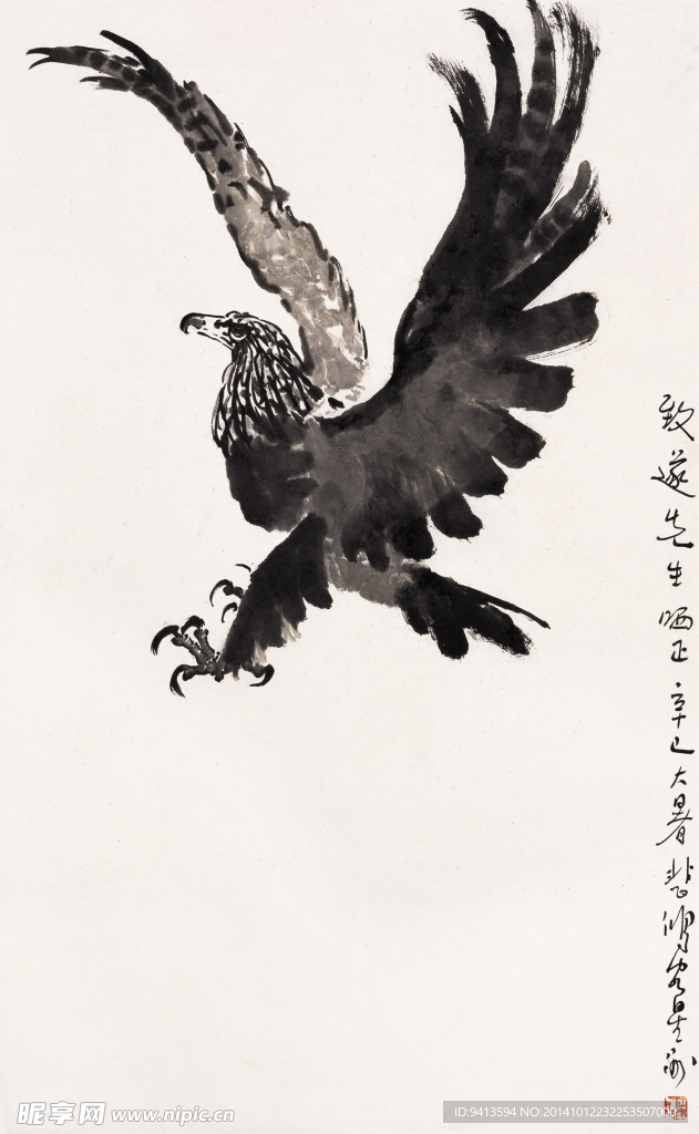 鹰