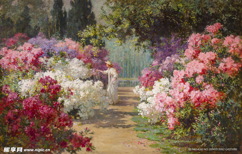 花卉风景