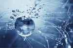 水滴水珠水
