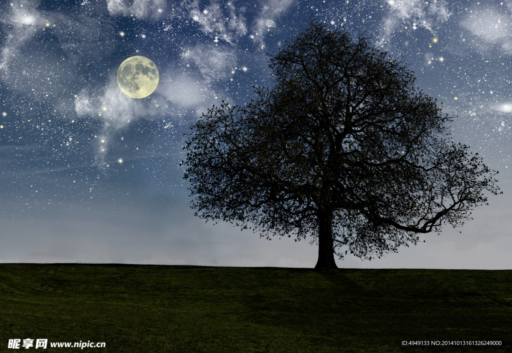 美丽的夜空