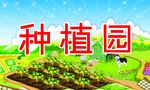 幼儿园 种植园