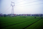 田园风景
