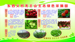 东四义村龙王山生态绿